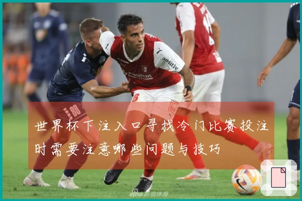 世界杯下注入口寻找冷门比赛投注时需要注意哪些问题与技巧