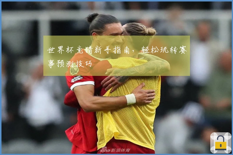 世界杯竞猜新手指南，轻松玩转赛事预测技巧
