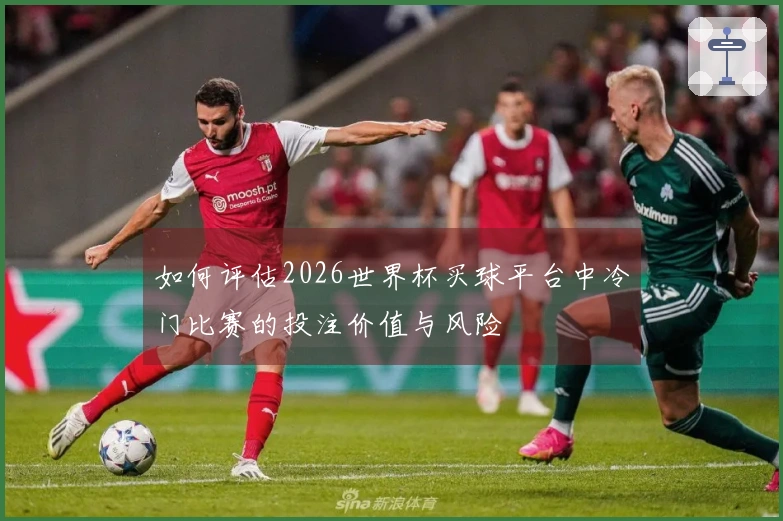 如何评估2026世界杯买球平台中冷门比赛的投注价值与风险