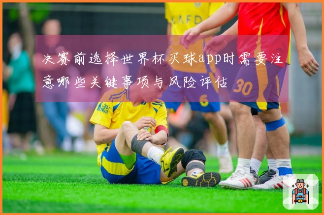 决赛前选择世界杯买球app时需要注意哪些关键事项与风险评估