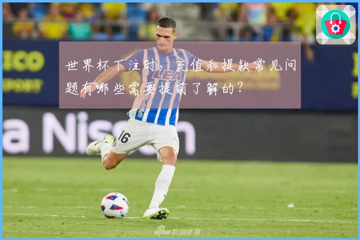 世界杯下注时,充值和提款常见问题有哪些需要提前了解的?