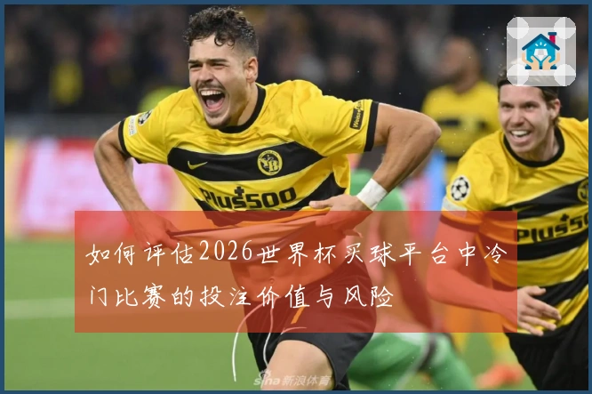 如何评估2026世界杯买球平台中冷门比赛的投注价值与风险